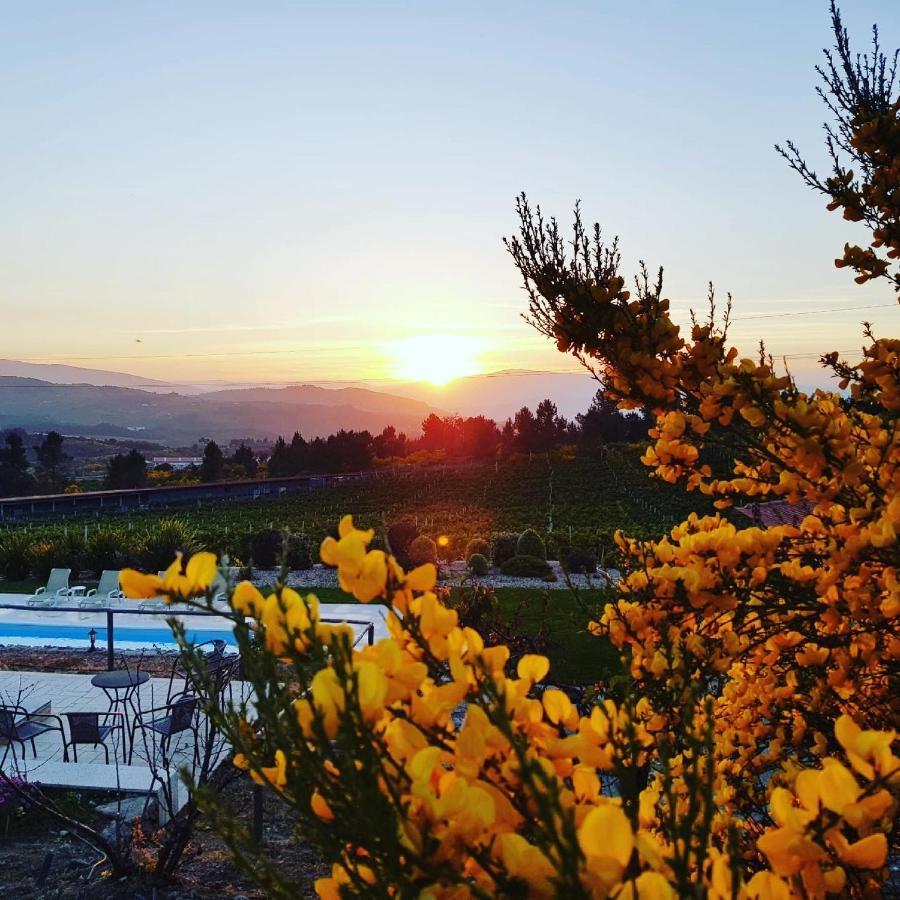 Quinta Bemboa Turismo Espaco Rural Aricera 外观 照片