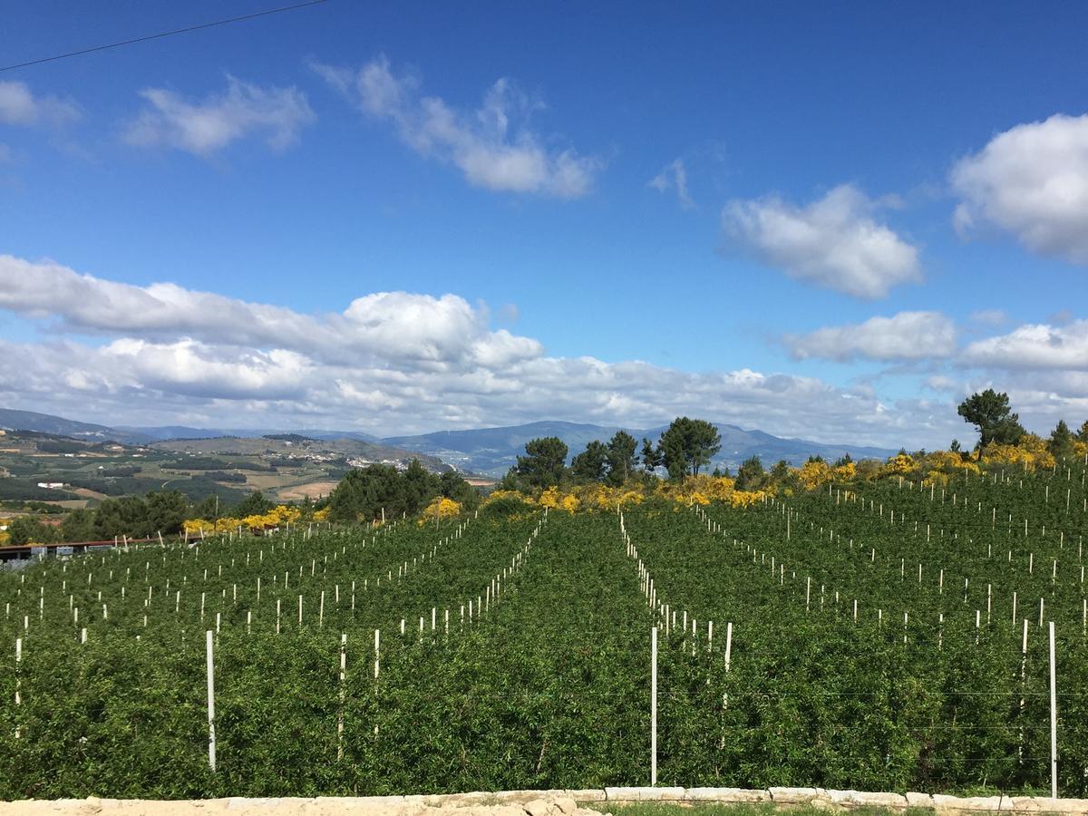 Quinta Bemboa Turismo Espaco Rural Aricera 外观 照片