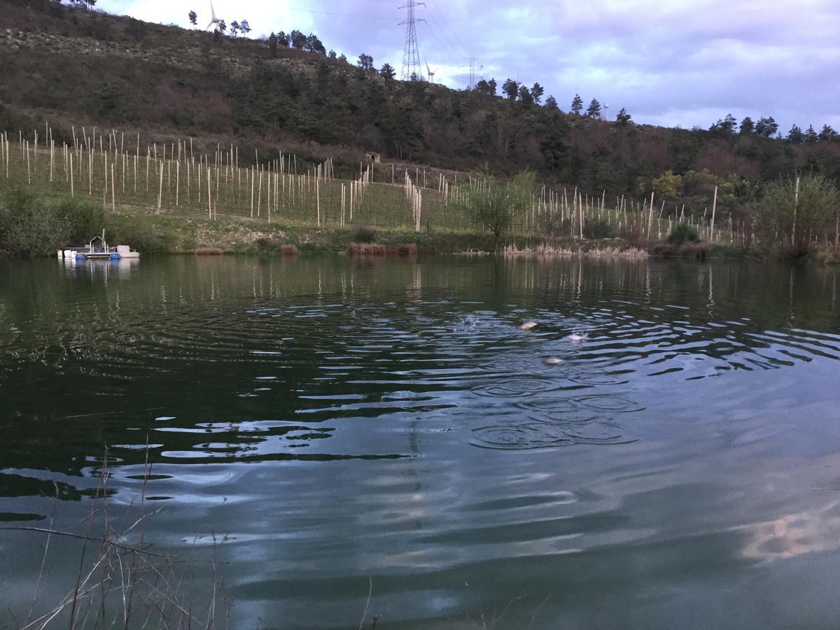 Quinta Bemboa Turismo Espaco Rural Aricera 外观 照片