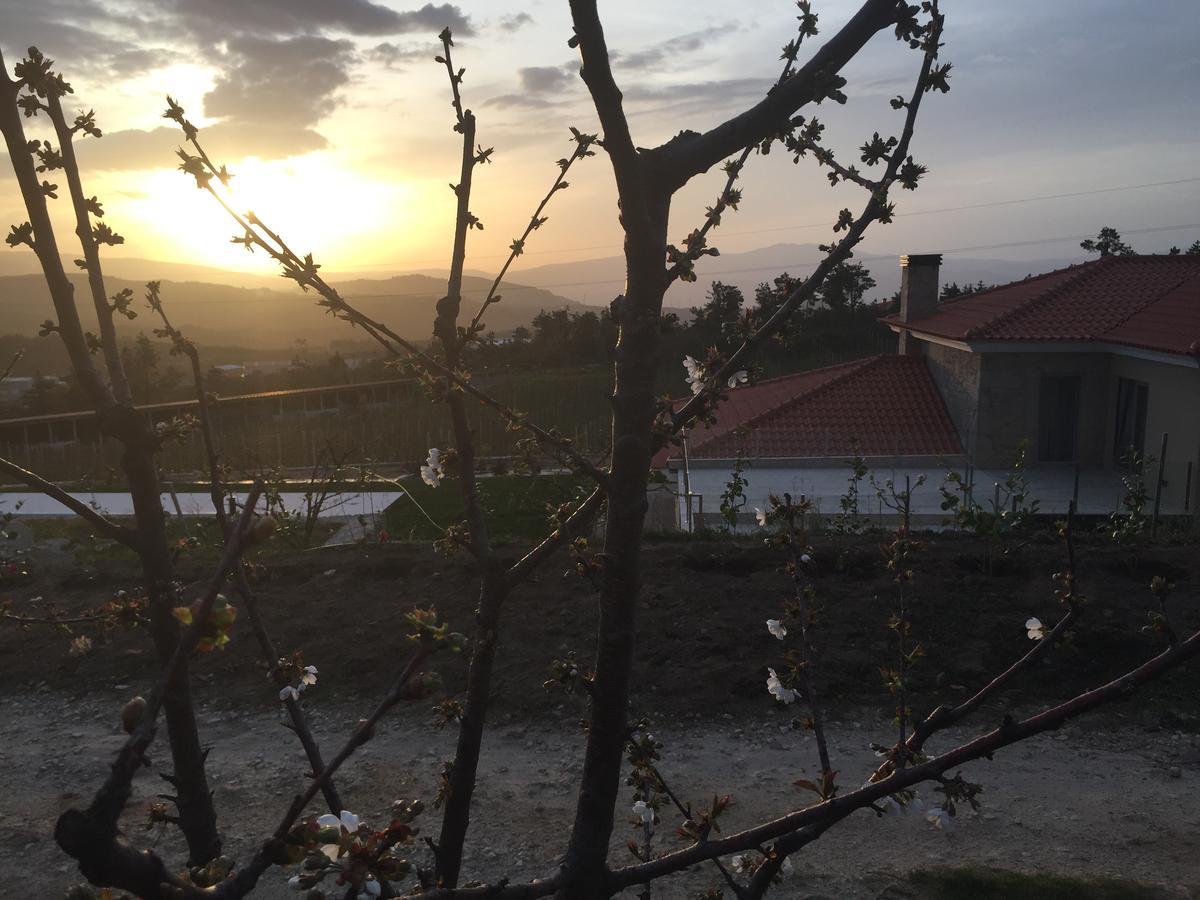 Quinta Bemboa Turismo Espaco Rural Aricera 外观 照片