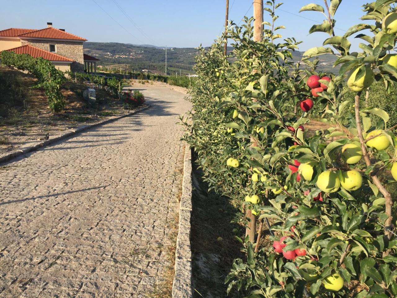 Quinta Bemboa Turismo Espaco Rural Aricera 外观 照片