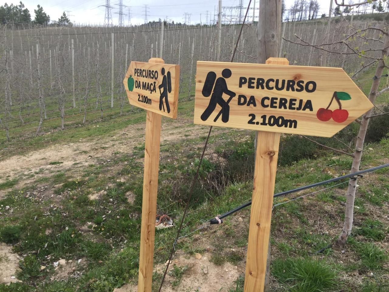 Quinta Bemboa Turismo Espaco Rural Aricera 外观 照片