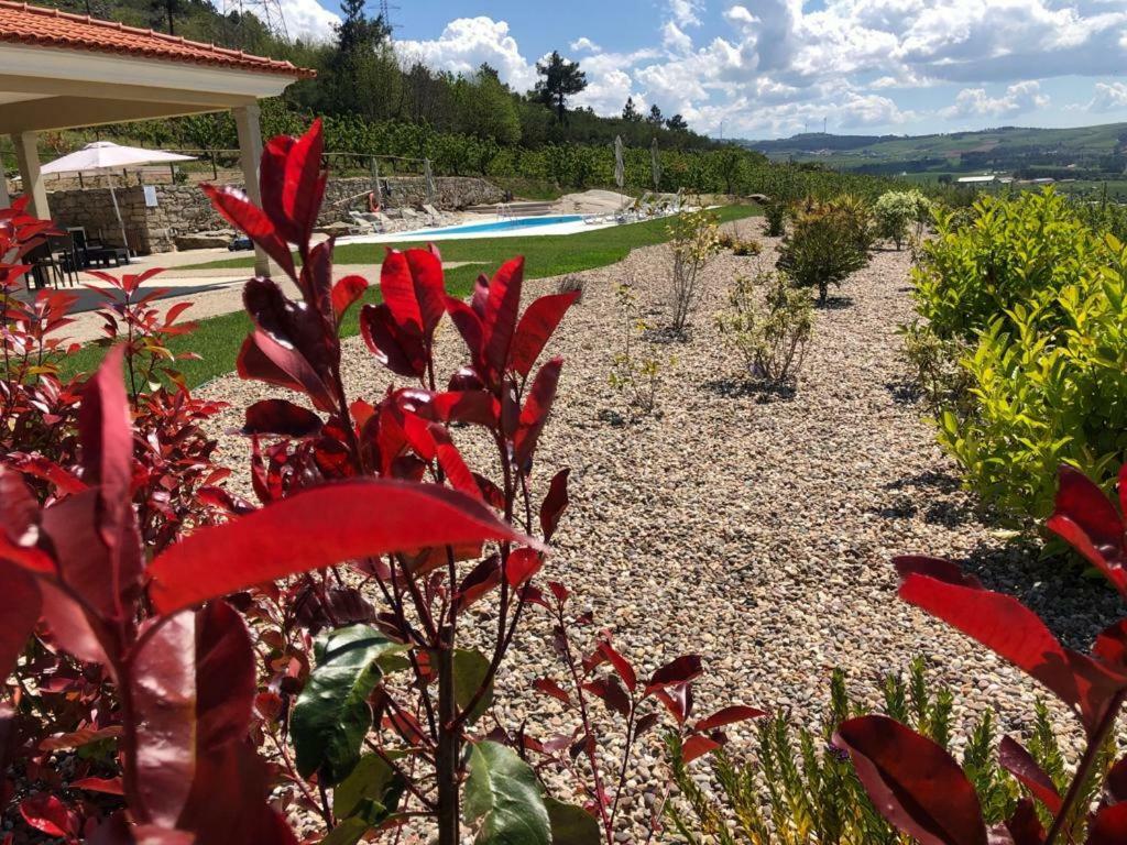 Quinta Bemboa Turismo Espaco Rural Aricera 外观 照片