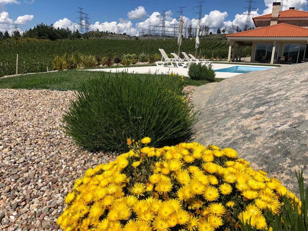 Quinta Bemboa Turismo Espaco Rural Aricera 外观 照片